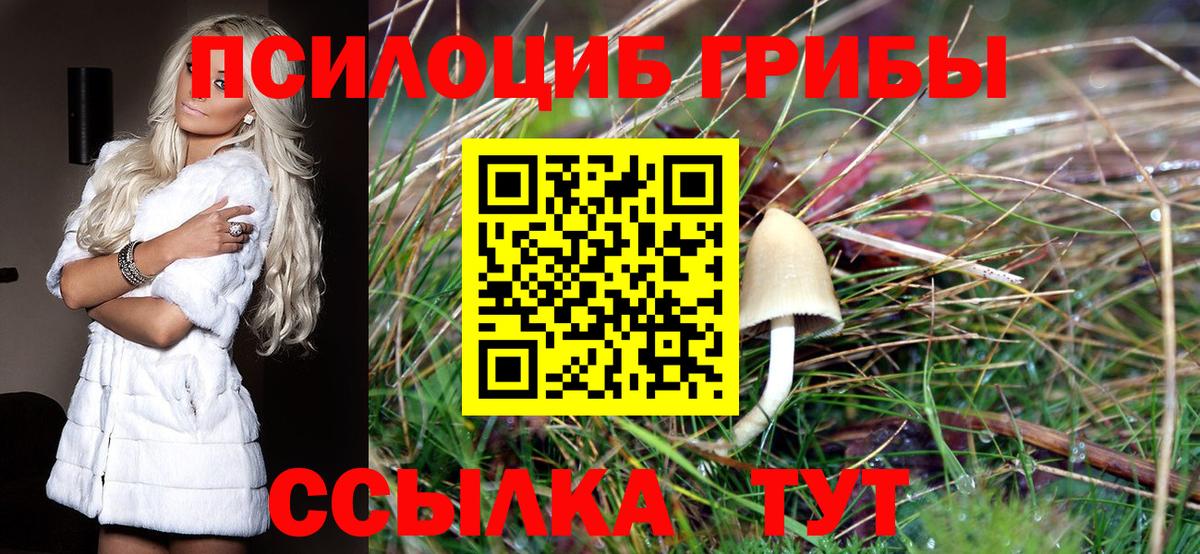 Янаул  наркотики  Вход с VPN  Псилоцибиновые грибы Cubensis  Галлюциногенные грибы Cubensis 