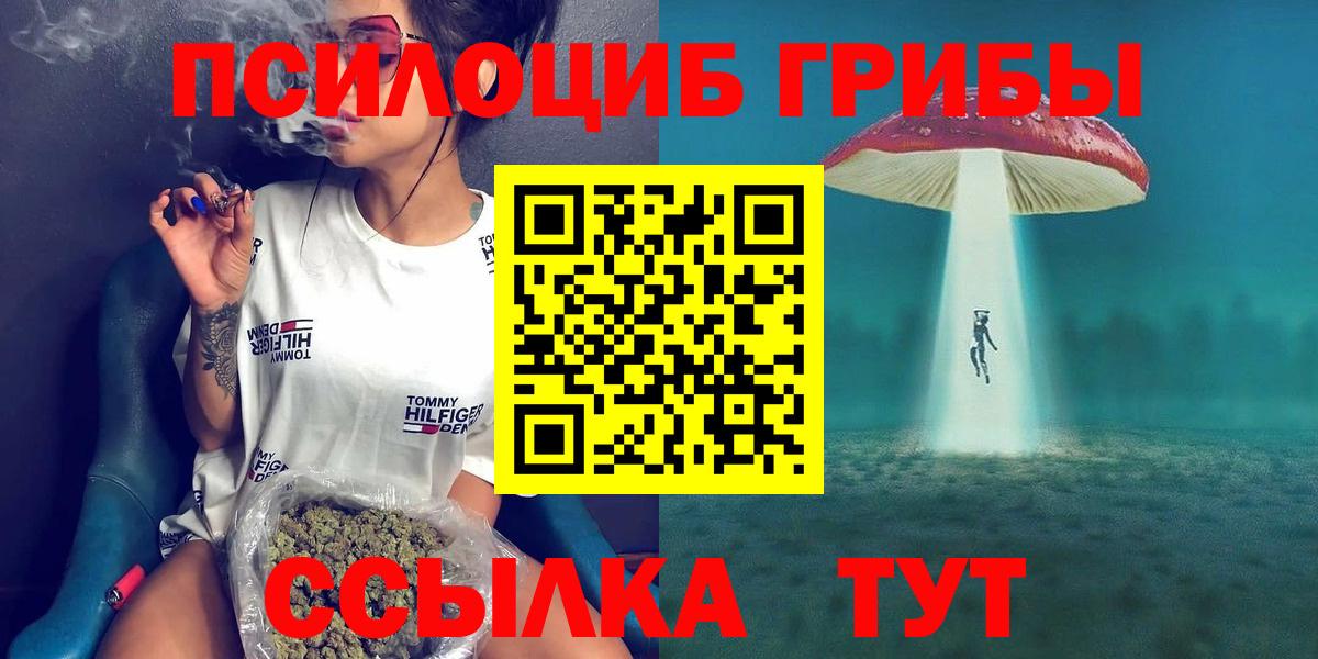Псилоцибиновые грибы Psilocybine cubensis Янаул
